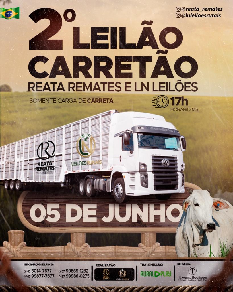 Leilão Virtual Fazenda Reata 