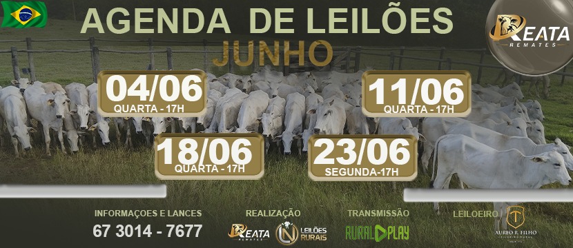 AGENDA DE LEILÕES