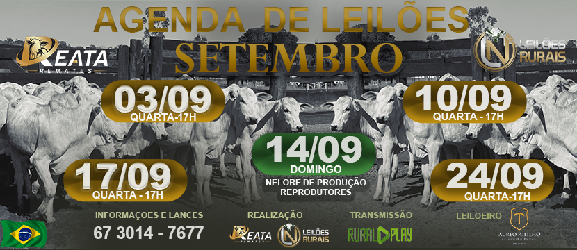 AGENDA DE LEILÕES