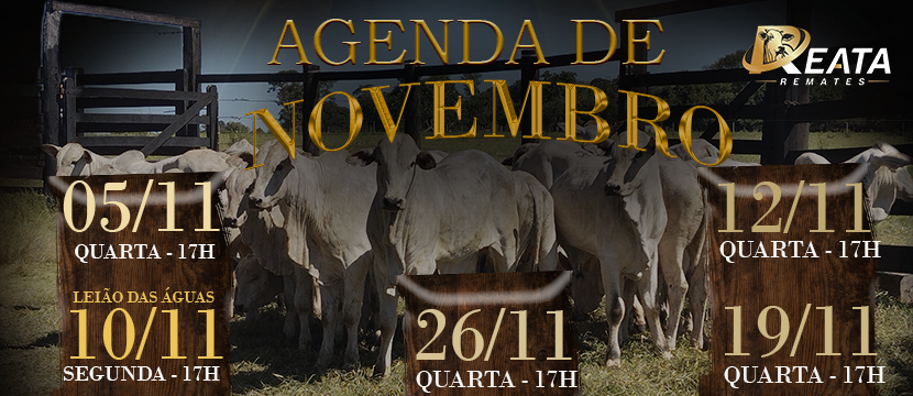 AGENDA DE LEILÕES