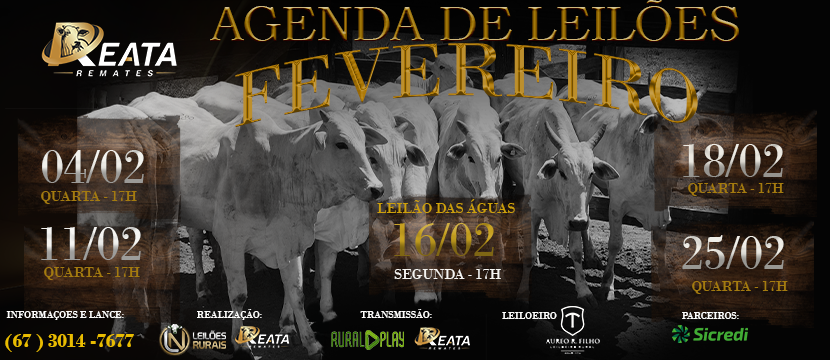 AGENDA DE LEILÕES