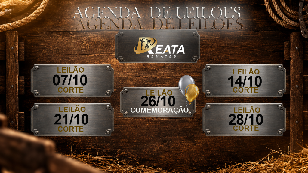 AGENDA DE LEILÕES