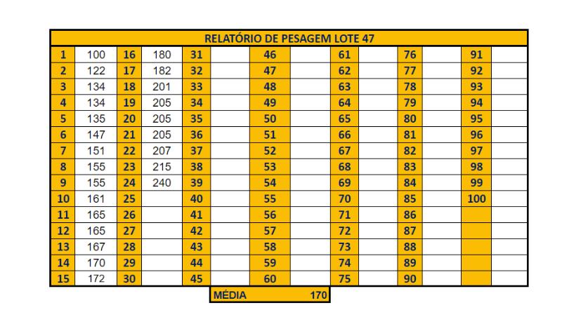 Raikou CP and IV Chart