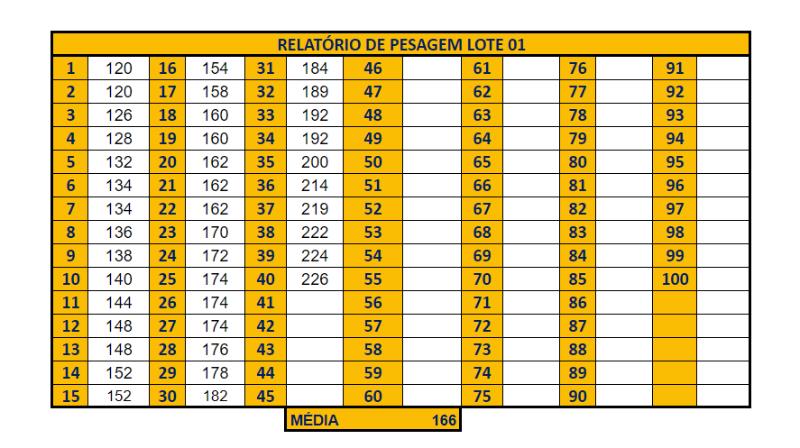 Leilão Virtual Fazenda Reata 