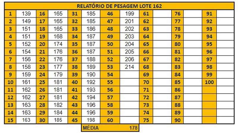 Virtual Remates Ltda